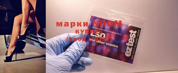 стафф Няндома