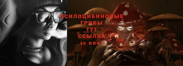 стафф Няндома