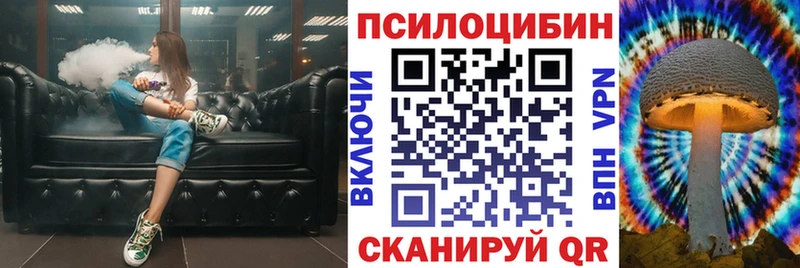 Псилоцибиновые грибы Psilocybine cubensis  где купить наркоту  Бабушкин 